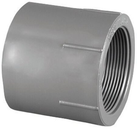 Charlotte Pipe Schedule 80 1/2 in. Slip X 1/2 in. D FPT PVC Adapter