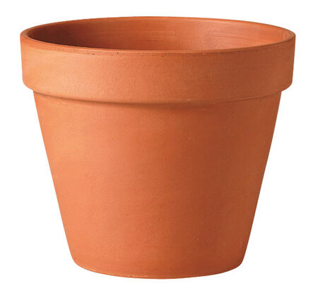 Deroma 10 in. H X 12 in. D Clay Traditional Planter Terracotta