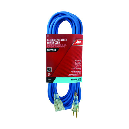 Ace Outdoor 25 ft. L Blue Extension Cord 14/3 SJOW