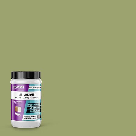 Beyond Paint Matte Sage Water-Based Paint Exterior and Interior 1 qt