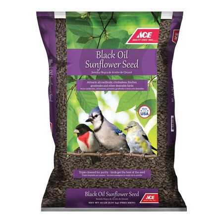 Ace Black Oil Sunflower Seed Wild Bird Food 20 lb