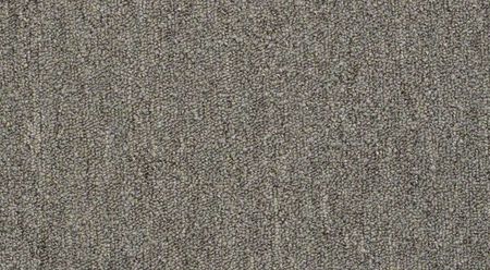 Shaw Neyland III 20 - Color Cool Umber 15 ft. Carpet
