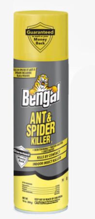 Bengal Spider & Ant Killer Aerosol 16oz