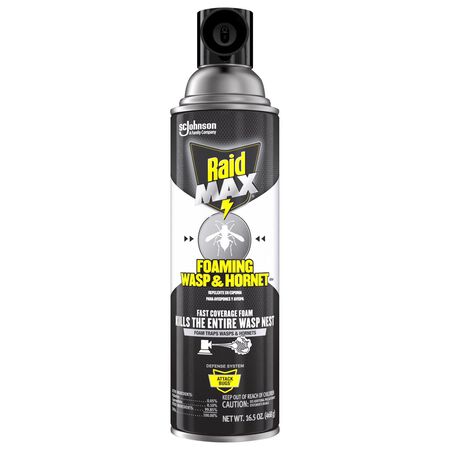 Raid Max Wasp and Hornet Killer Foam 16.5 oz