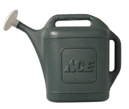 Ace 2 gal. Plastic Green Watering Can