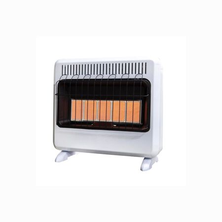 Mr. Heater 1000 sq. ft. 30000 BTU LP/NG Wall Heater