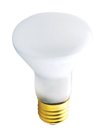 Westinghouse 45 W R20 Floodlight Incandescent Bulb E26 (Medium) White 12 pk