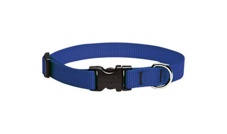 Lupine Pet Basic Solids Blue Blue Nylon Dog Adjustable Collar