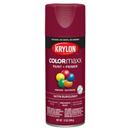 Krylon COLORmaxx K05560007 Spray Paint