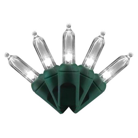 Celebrations LED T5 Pure White 50 ct String Christmas Lights 12 ft.