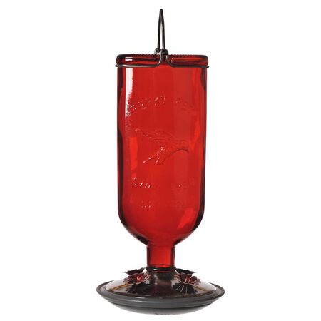 Perky-Pet Hummingbird 16 oz Glass/Metal/Plastic Nectar Feeder 4 ports