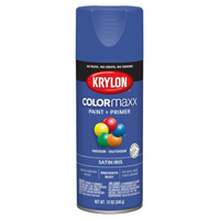 Krylon COLORmaxx K05564007 Spray Paint