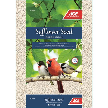 Ace Songbird Safflower Seeds Wild Bird Food 5 lb