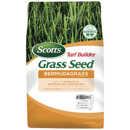 Scotts Turf Builder Bermuda Grass Full Sun Grass Seed 1 lb