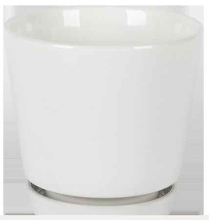 Border Concepts 6 in. D Ceramic Flair Saucer Planter White