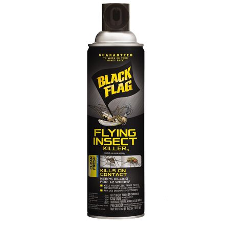 Black Flag Insect Killer Aerosol 18 oz