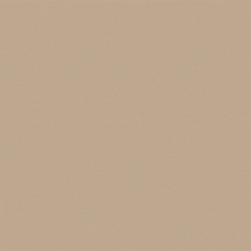 BEYOND PAINT Matte Linen Acrylic AllInOne Paint 1 pt. Stine Home