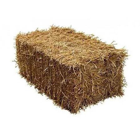 Hay Bale