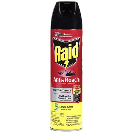 Raid Insect Killer Aerosol 17.5 oz