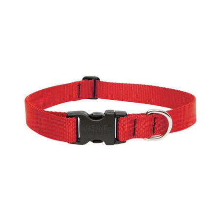 LupinePet Basic Solids Red Red Nylon Dog Adjustable Collar