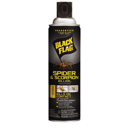 Black Flag Insect Killer Liquid 16 oz