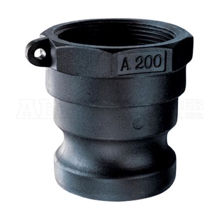 Pacer Camelot Polypropylene 2 in. D X 2 in. D Female Adapter 1 pk