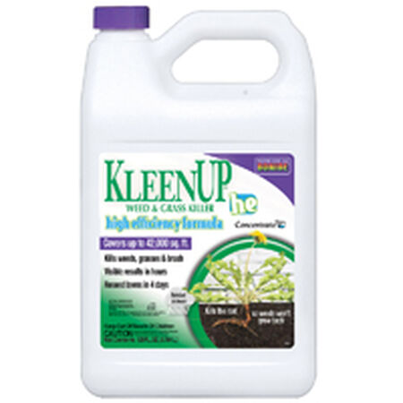 Bonide KleenUp he 754 Weed and Grass Killer Concentrate