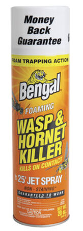 Bengal Foaming Insect Killer For Wasps & Hornets 18 oz.