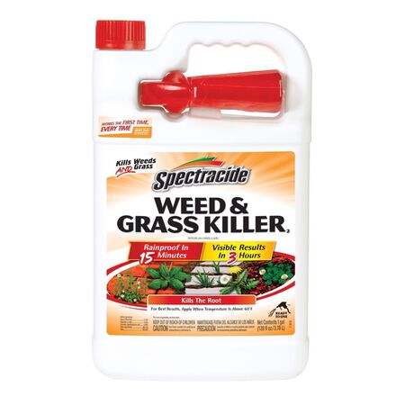Spectracide Weed and Grass Killer RTU Liquid 1 gal