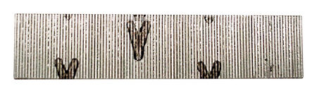 Senco 5/8 in. L 23 Ga. Galvanized Straight Strip Pins 2 600 pk