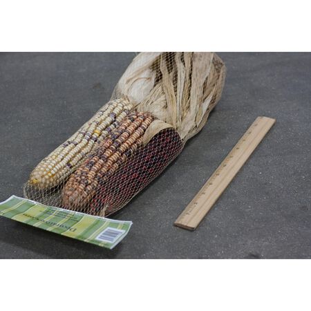 Frey Farms Sarah's Home Grown Assorted Corn 3