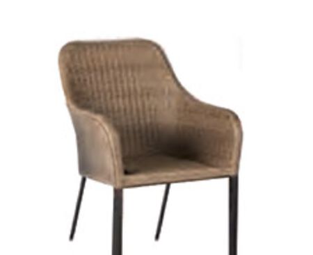 Living Accents Brown Steel Dinning Chair