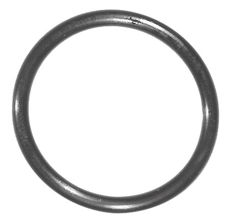 Danco 1 in. D X 1.19 in. D Rubber O-Ring 1 pk
