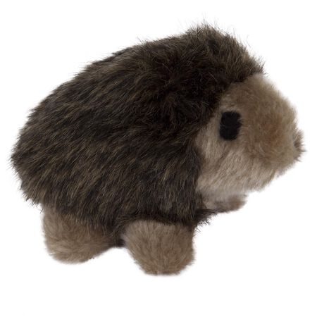 Aspen Pet Multicolored Plush Hedgehog Dog Toy Medium 1 pk
