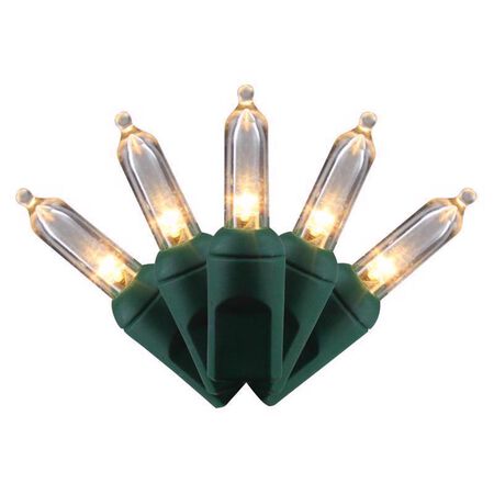 Celebrations LED T5 Warm White 50 ct String Christmas Lights