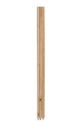 Pine Bean Pole / Tomato Stake 6'