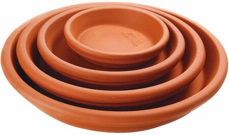 Saucer Planter Clay 12 in