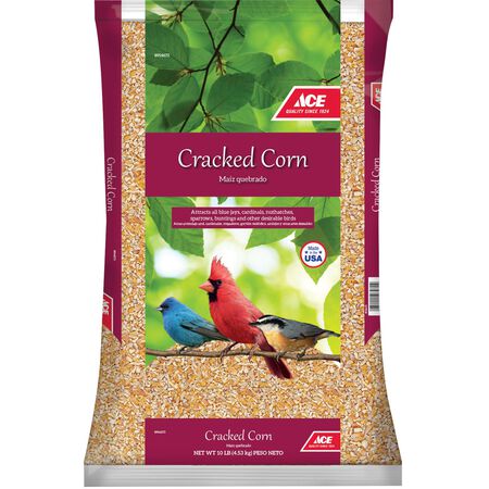 Ace Songbird Corn Cracked Corn 10 lb