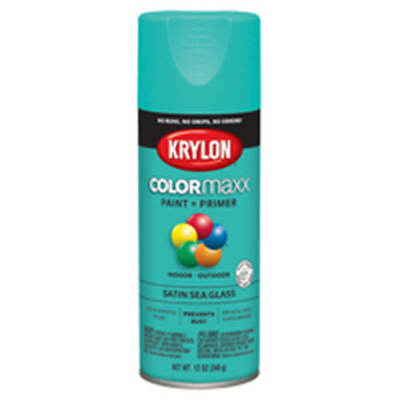 Krylon COLORmaxx K05576007 Spray Paint