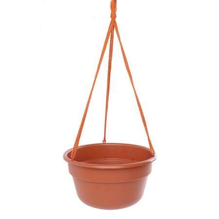 Bloem 6.8 in. H X 12.4 in. D Resin Dura Cotta Hanging Basket Terracotta Clay