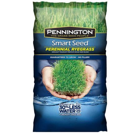 Smart Perennial Ryegrass 3 lb
