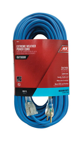 Ace Indoor and Outdoor Extension Cord 14/3 SJOW 100 ft. L Blue