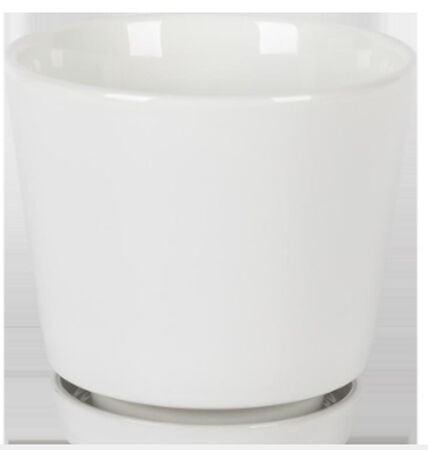 Border Concepts 8 in. D Ceramic Flair Saucer Planter White