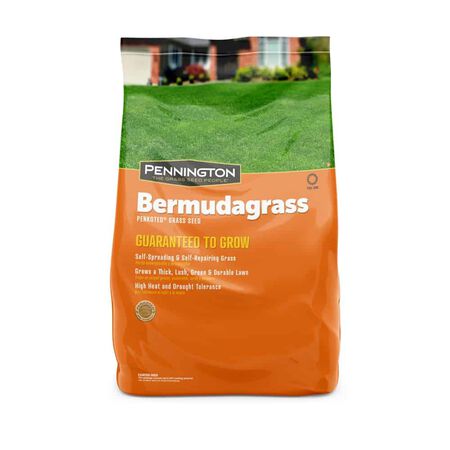 Penn ington Bermuda Grass 15 lb