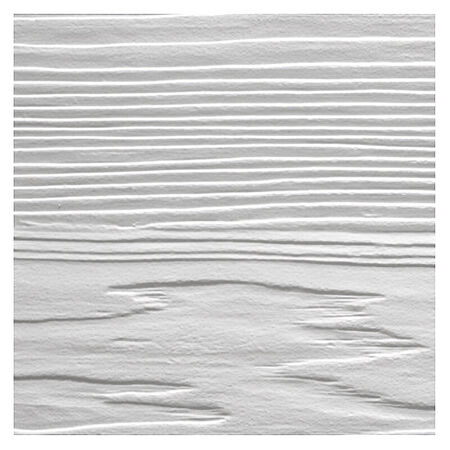 Woodgrain NichiBoard 5/16"8-1/4"x12' Lap