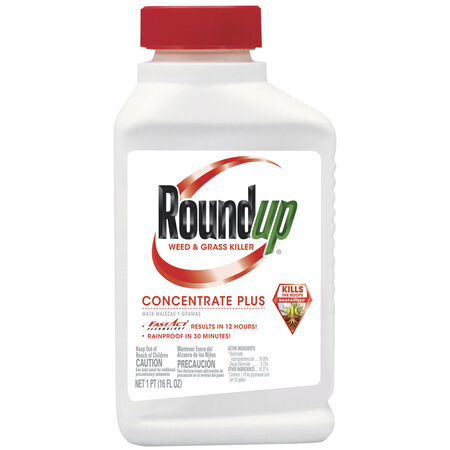 Roundup Weed and Grass Killer Concentrate 16 oz