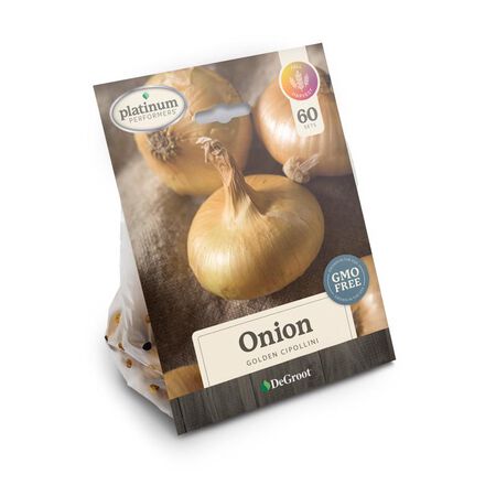 Plant DeGroot Onion Golden Cipollini Plant 60 pk