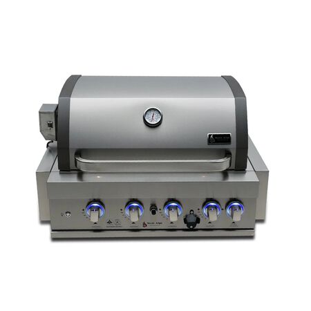 Mont Alpi 32 in. Built-in grill
