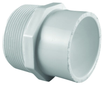 Charlotte Pipe Schedule 40 3/4 in. MPT X 1 in. D Slip PVC Pipe Adapter 1 pk