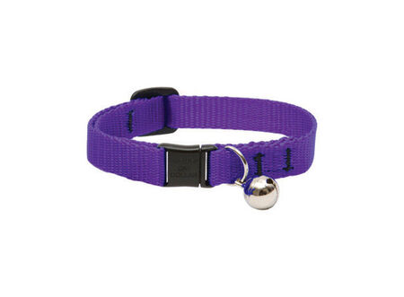 Lupine Pet Basic Solids Purple Purple Nylon Cat Collar